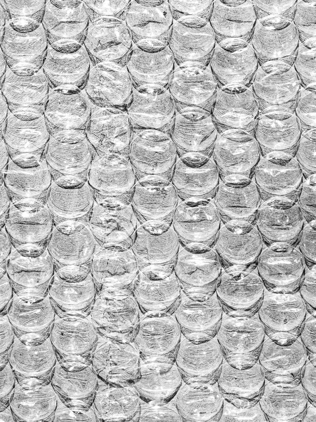 From Bottle to Bag: How PacaPod Turns Plastic Waste Into Practical Magic