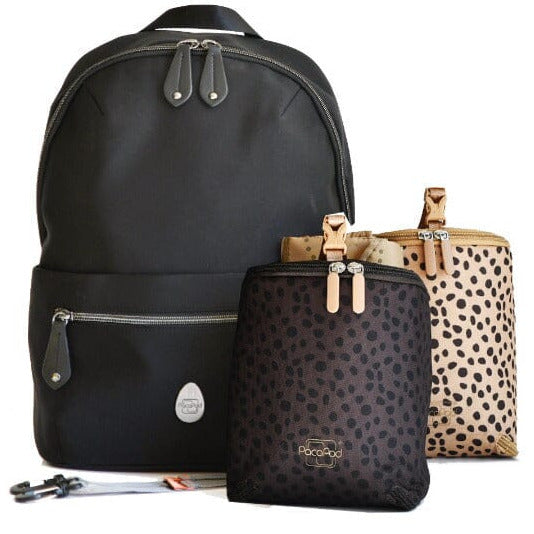 Rockham - black dalmatian | PacaPod