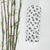 Bamboo Baby Muslin (S)