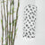 Dalmation print baby muslin cloth rolled up on a white background next to real bamboo shoots